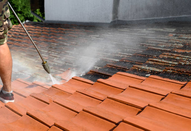 Best Pressure Washing Services Near Me  in Punaluu, HI