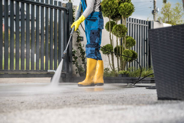 Best Local Pressure Washing Services  in Punaluu, HI