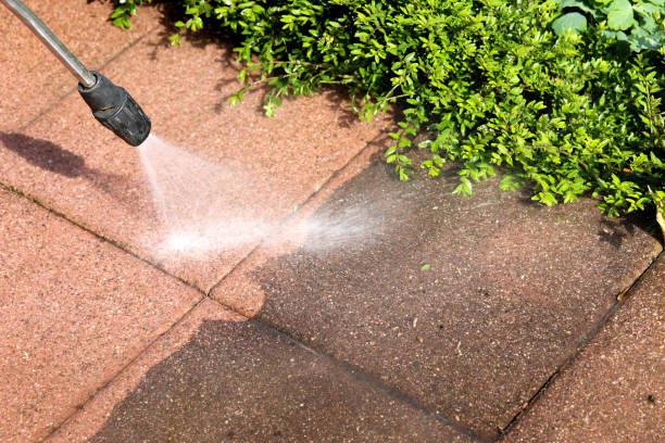 Best Affordable Pressure Washing  in Punaluu, HI